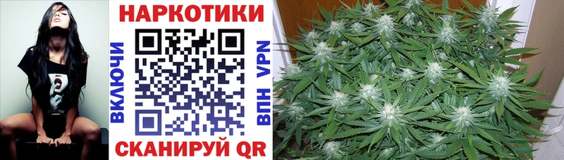 Где купить наркотики Балашов COCAIN  MDMA  ГАШ  Канабис  Меф 