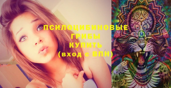 ECSTASY Алексеевка