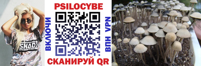 Псилоцибиновые грибы прущие грибы  Балашов 