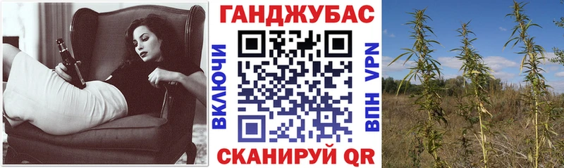 сколько стоит  Балашов  Каннабис планчик 